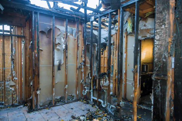 Professional Fire Damage Repair technician working in Randallstown, MD